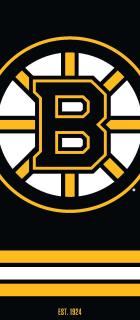 Boston Ice Hockey