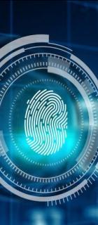 Cyber risk management